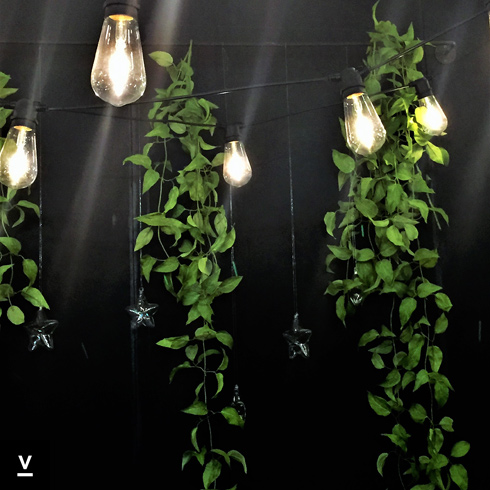 article inspirations vegetales du salon m et o 2018 fiorira un giardino plantes ampoules Preferences VcommeSamedi