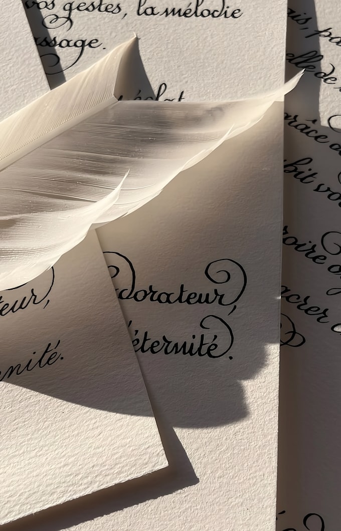 Une plume blanche posée sur des feuilles de calligraphie manuscrite, éclairées par la lumière du jour